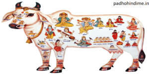 Read more about the article Gau Mata Ki Aarti