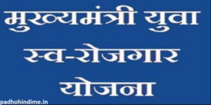 Read more about the article Mukhyamantri Yuva Swarojgar Yojana